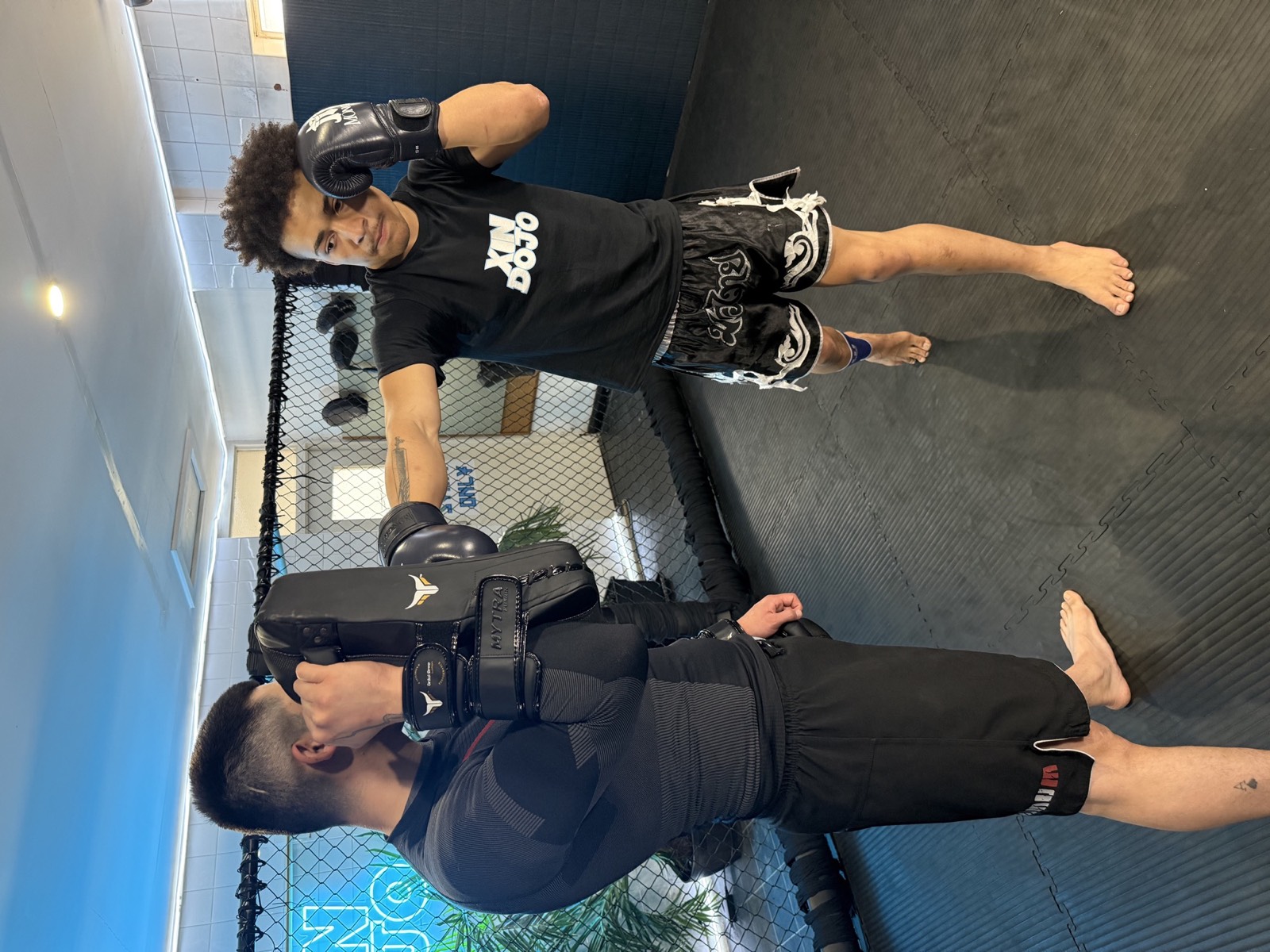 MMA Training at Xin Dojo