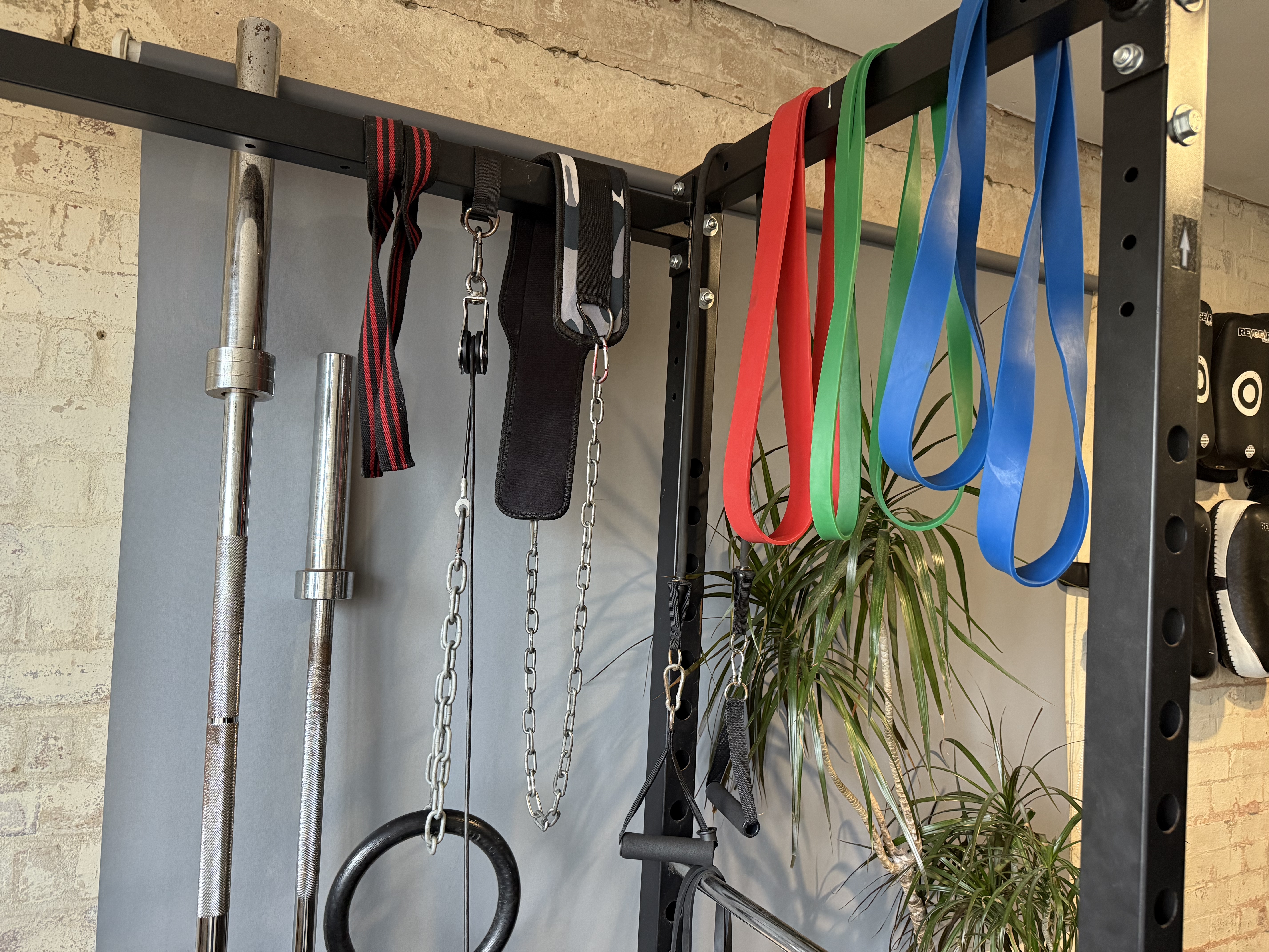 Vital Strength training at Xin Dojo