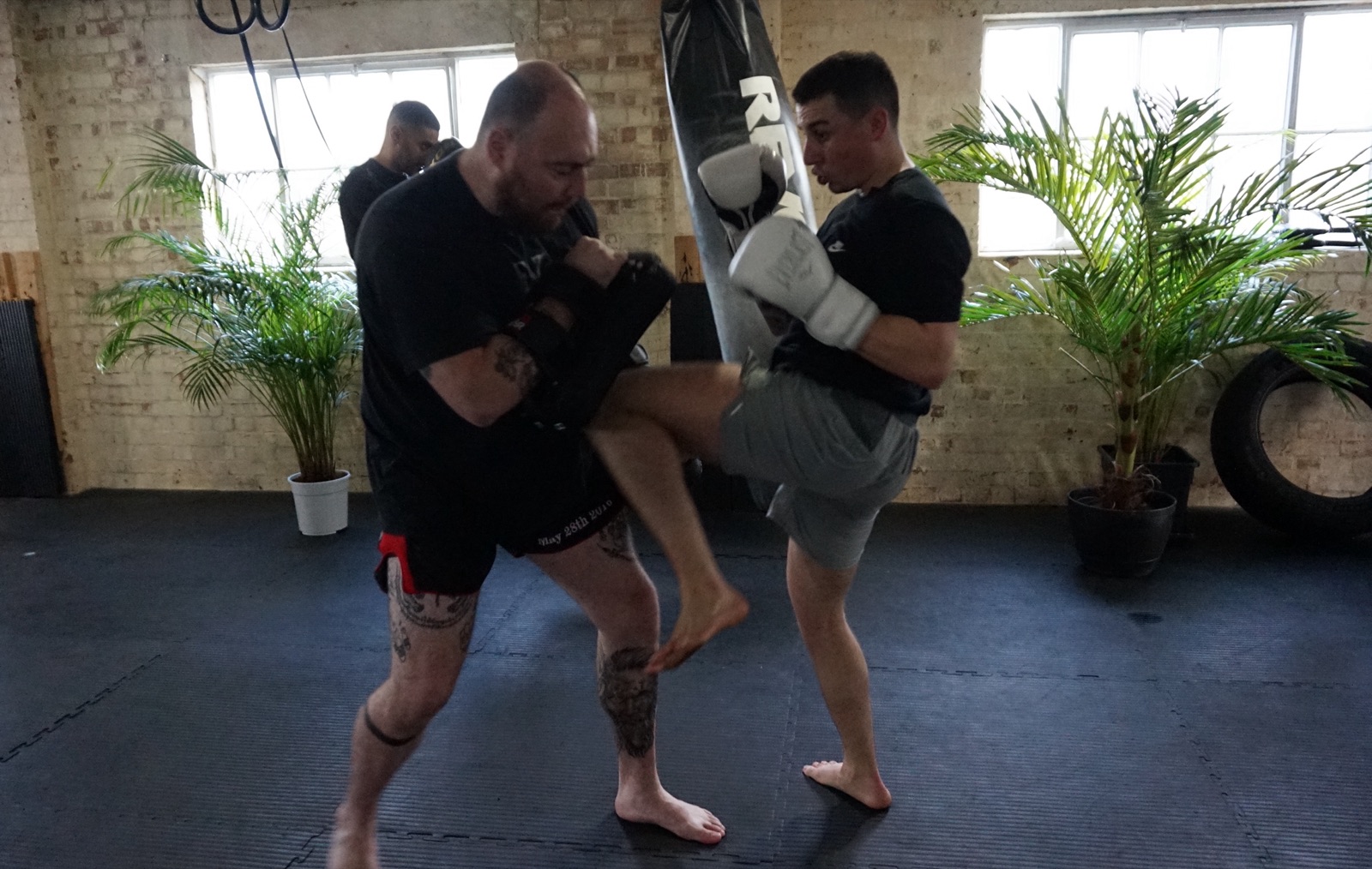 Structured Progression & Achievements